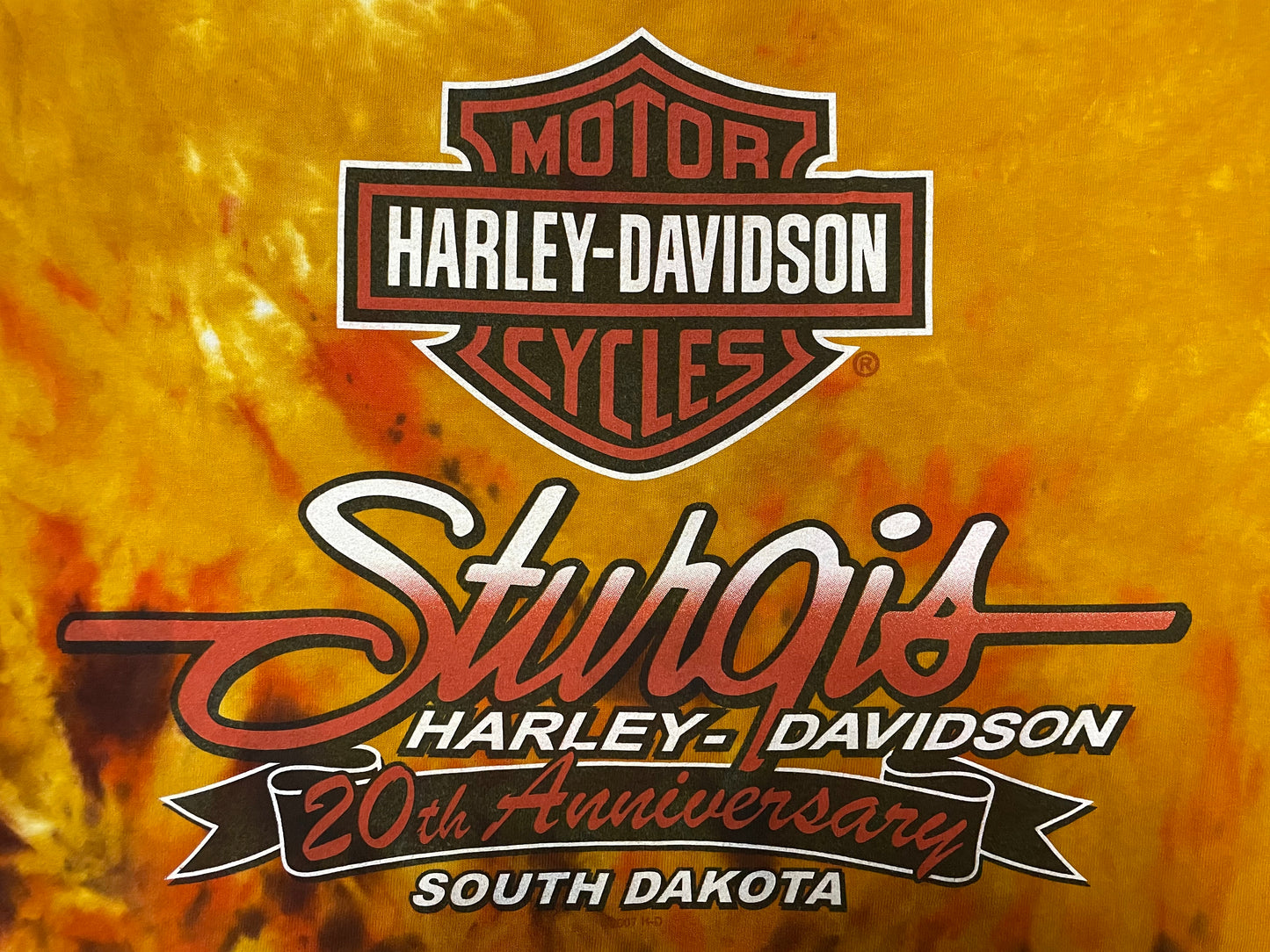 Vintage 2000s Harley Davidson black hills rally tee