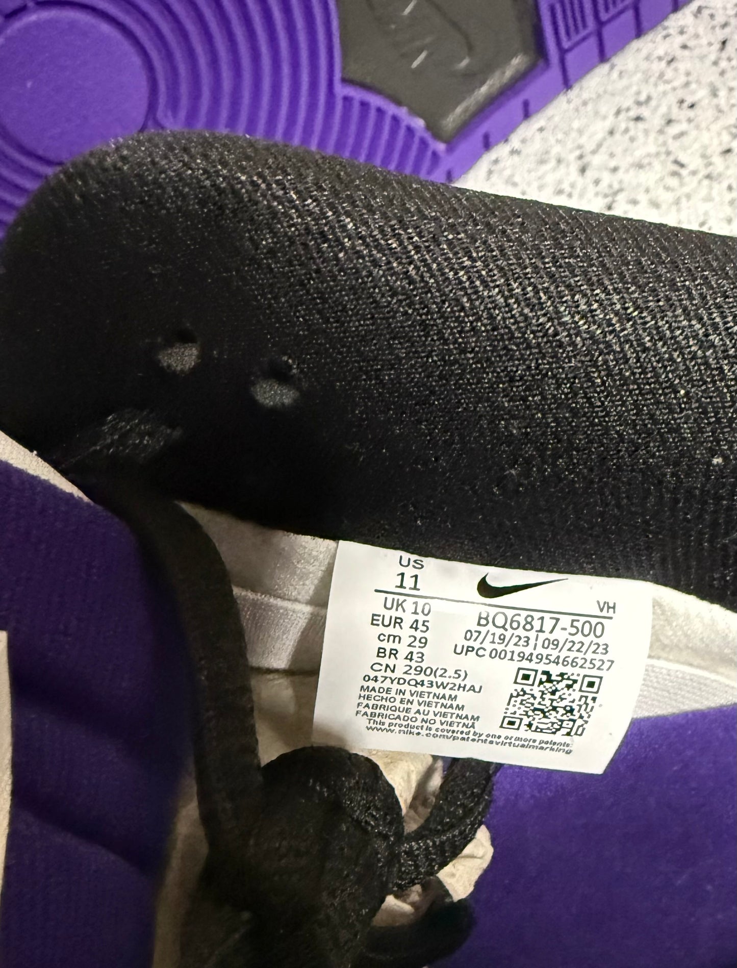 Nike Dunk Sb Low Court Purple