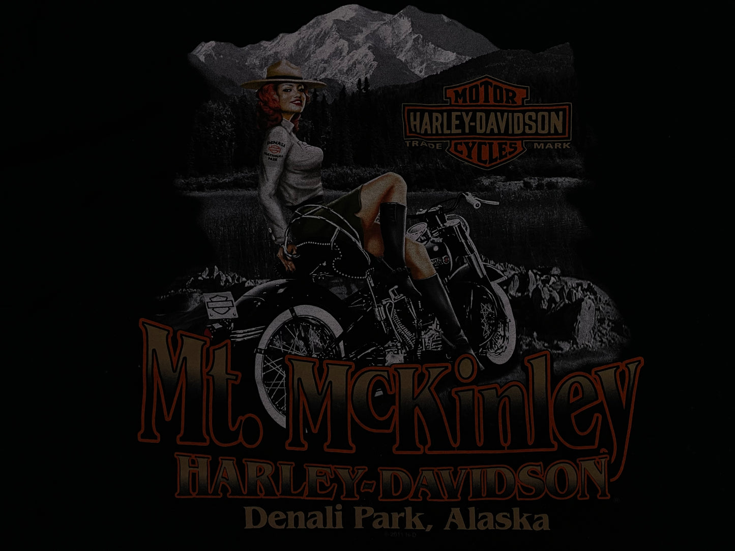 Harley Davidson Alaska Denali park tee