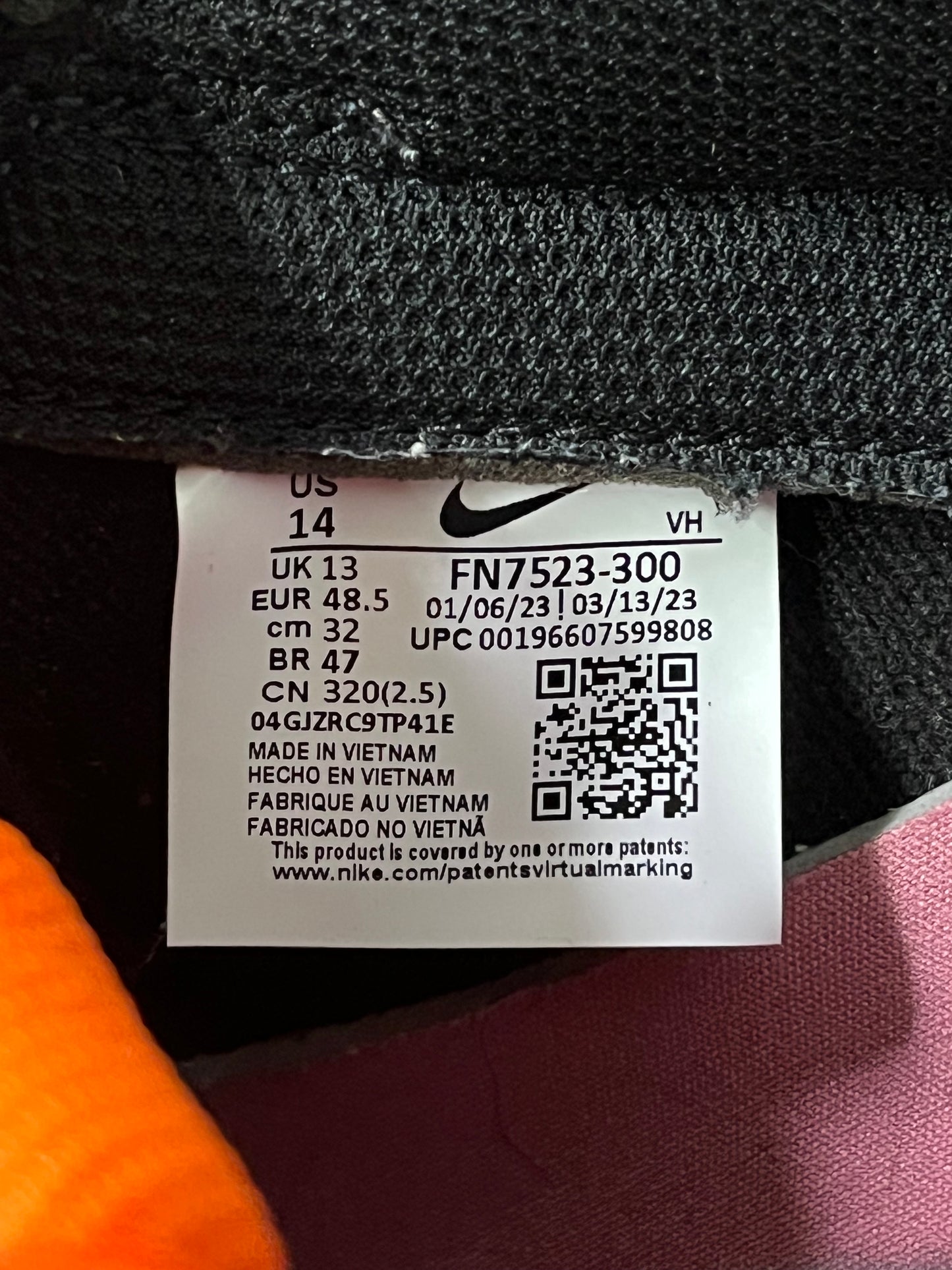 Nike dunk low Gone Fishing rainbow trout size 14men/15.5women