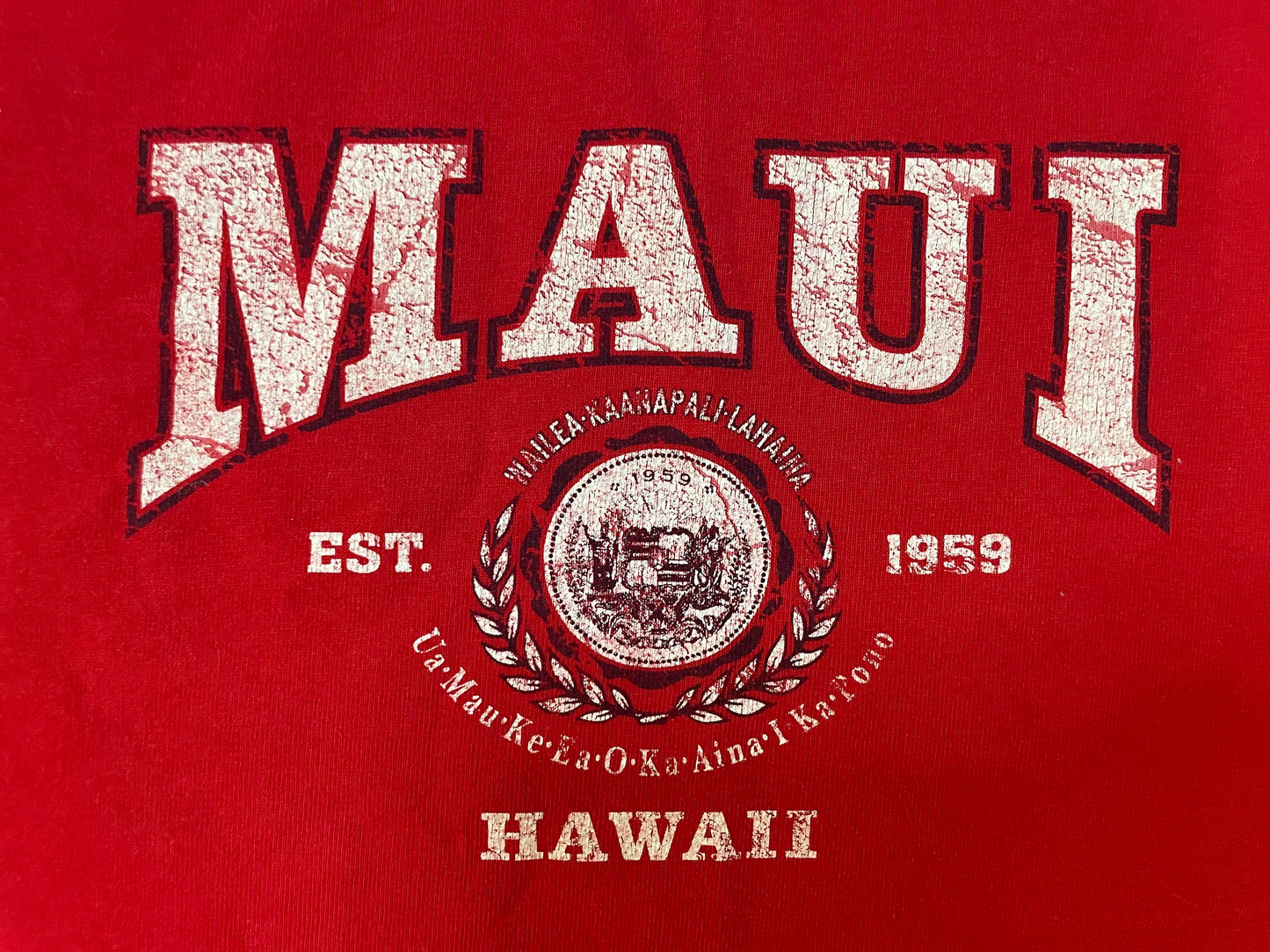 Vintage 1990s Maui Hawaii cutoff tee