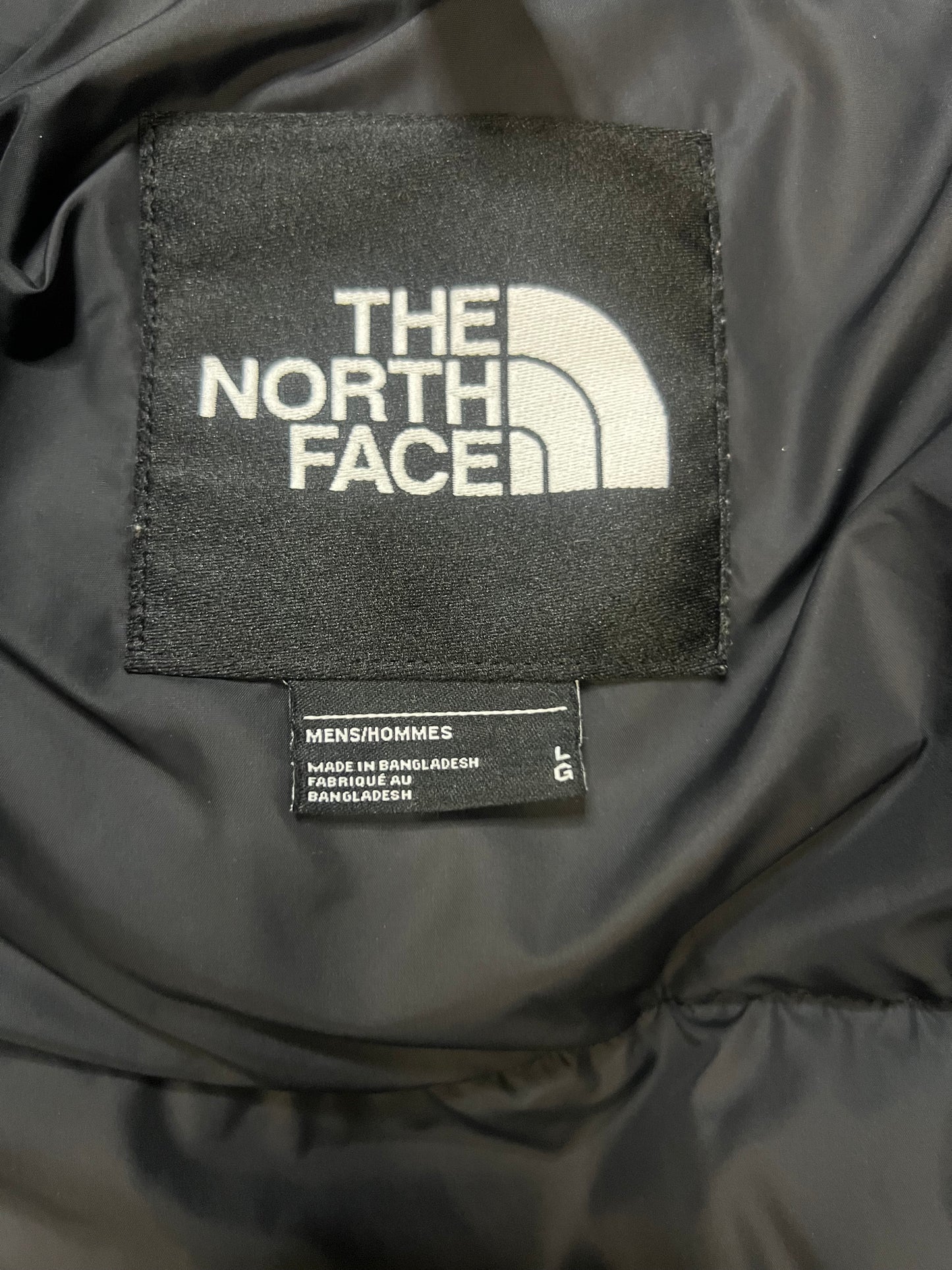 The North face blue Nuptse 700 jacket