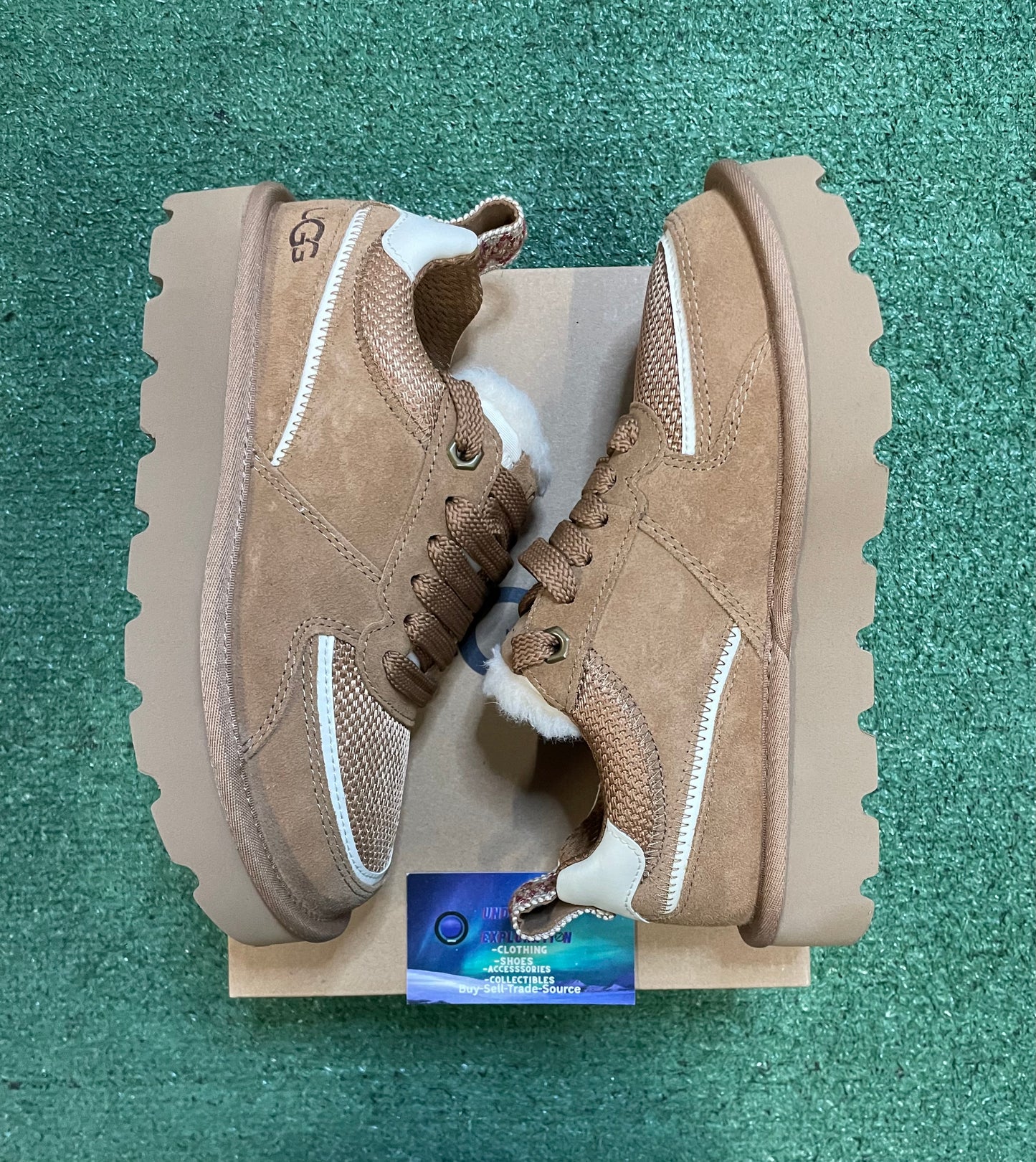 Ugg chestnut sungazer