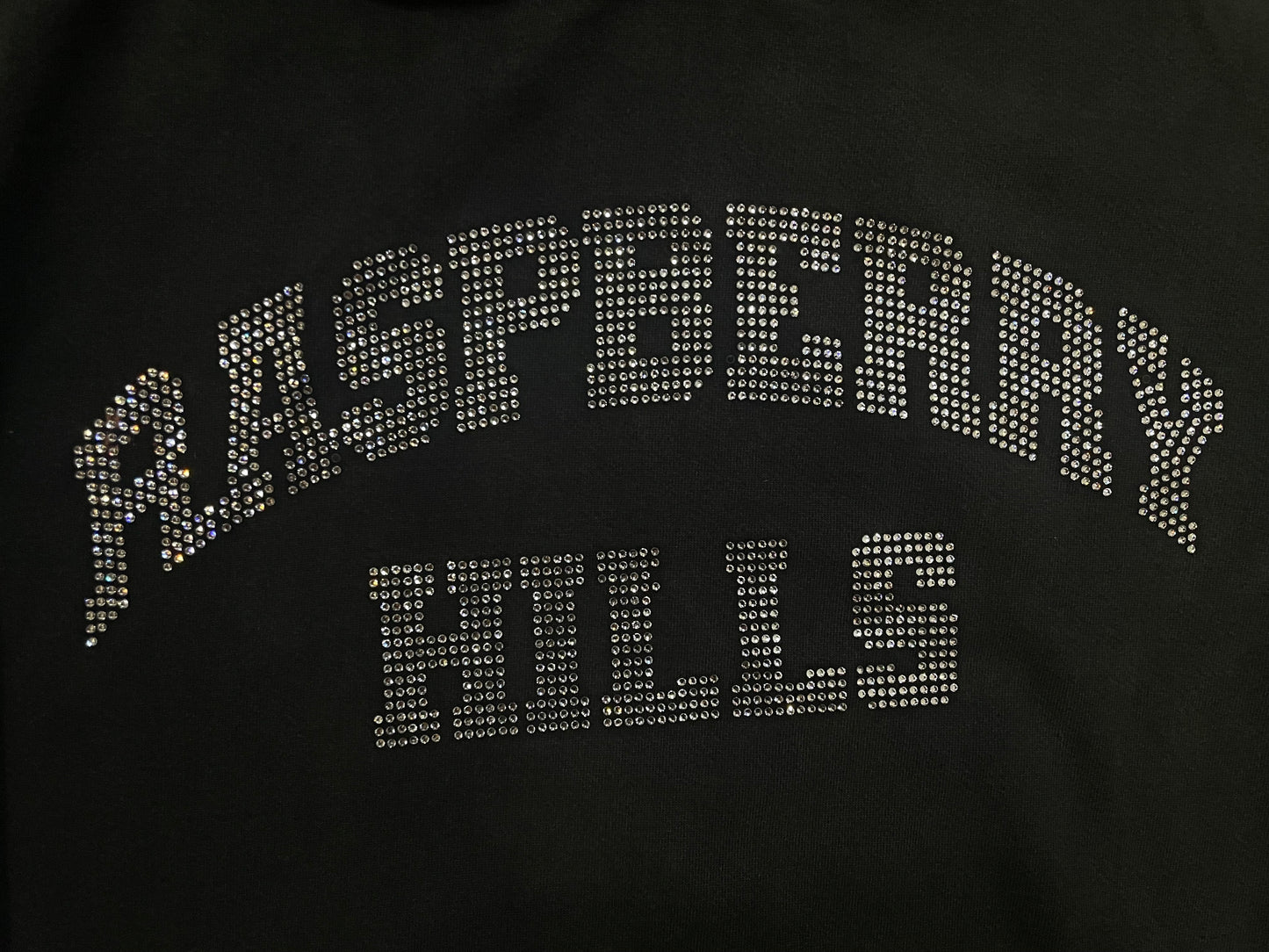 Gv gallery Raspberry Hills rhinestone hoodie
