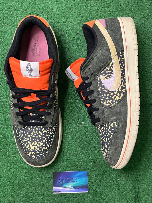 Nike dunk  low Gone Fishing rainbow trout size 14men/15.5women