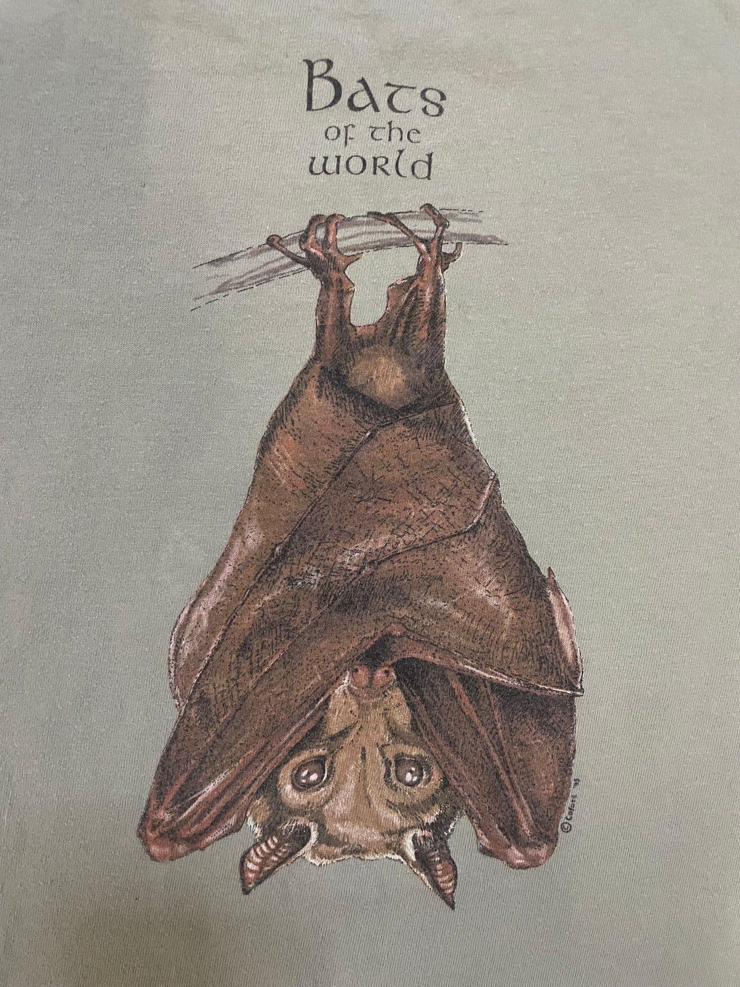 Vintage 1990s Bats of the world tee