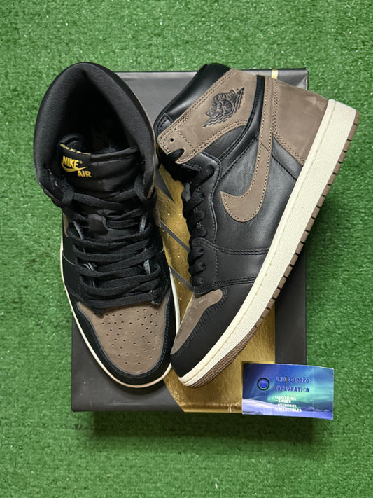 Jordan 1 Palomino 10 Men/11.5 Women “Preowned”