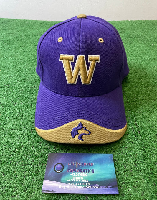 Vintage 2000s UW university of Washington embroidered hat