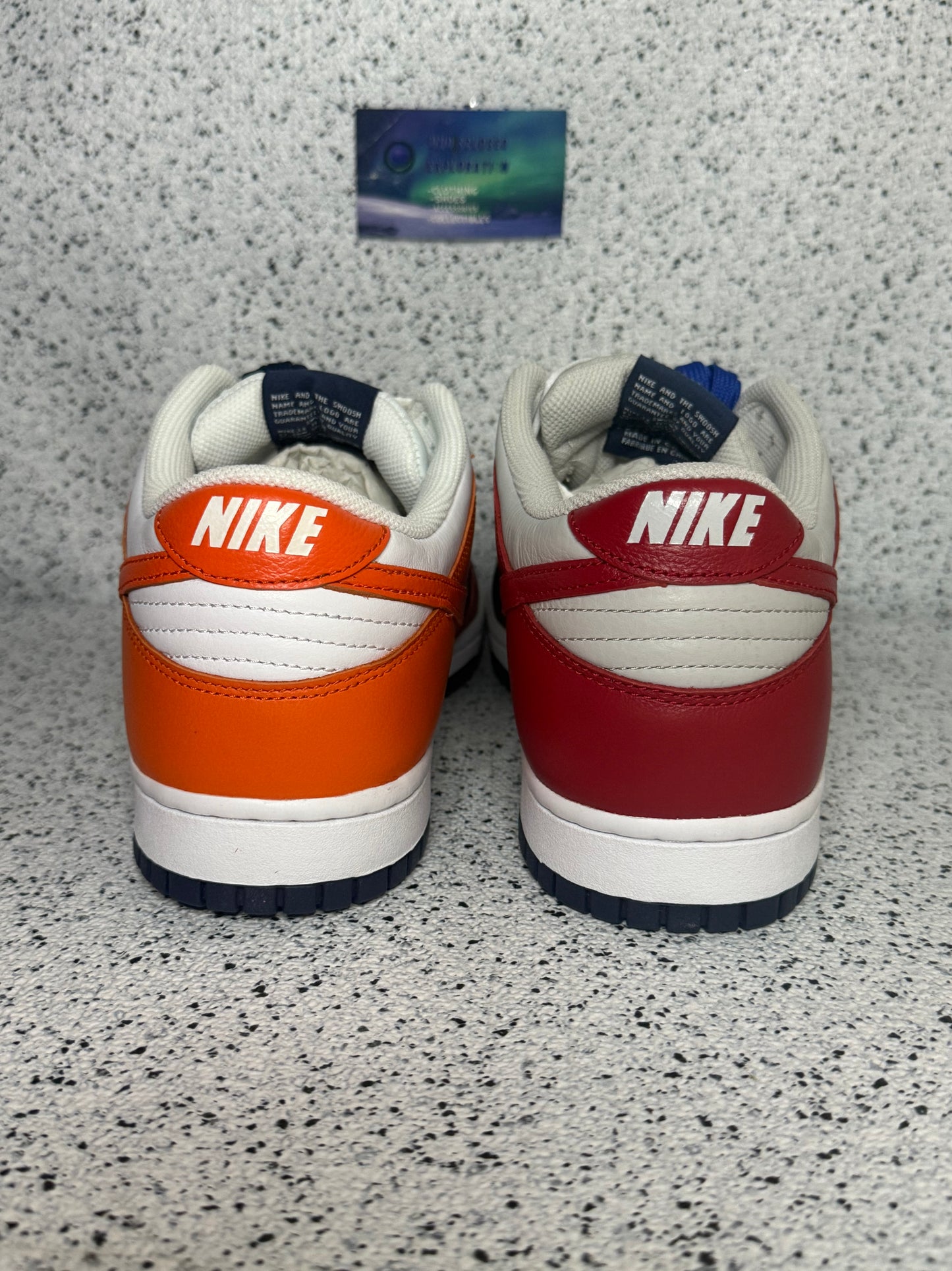 Nike Dunk Low What The