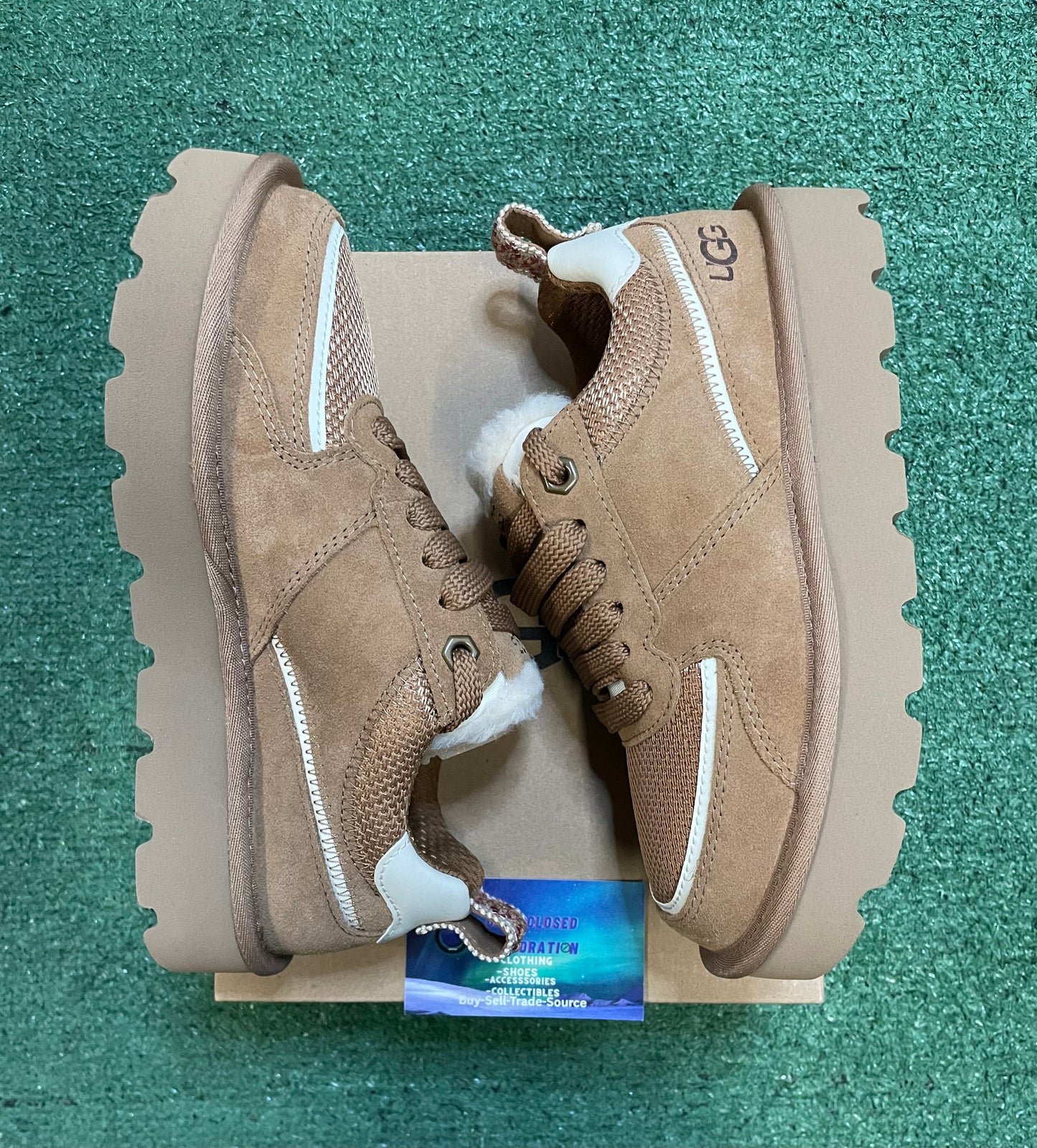 Ugg chestnut sungazer