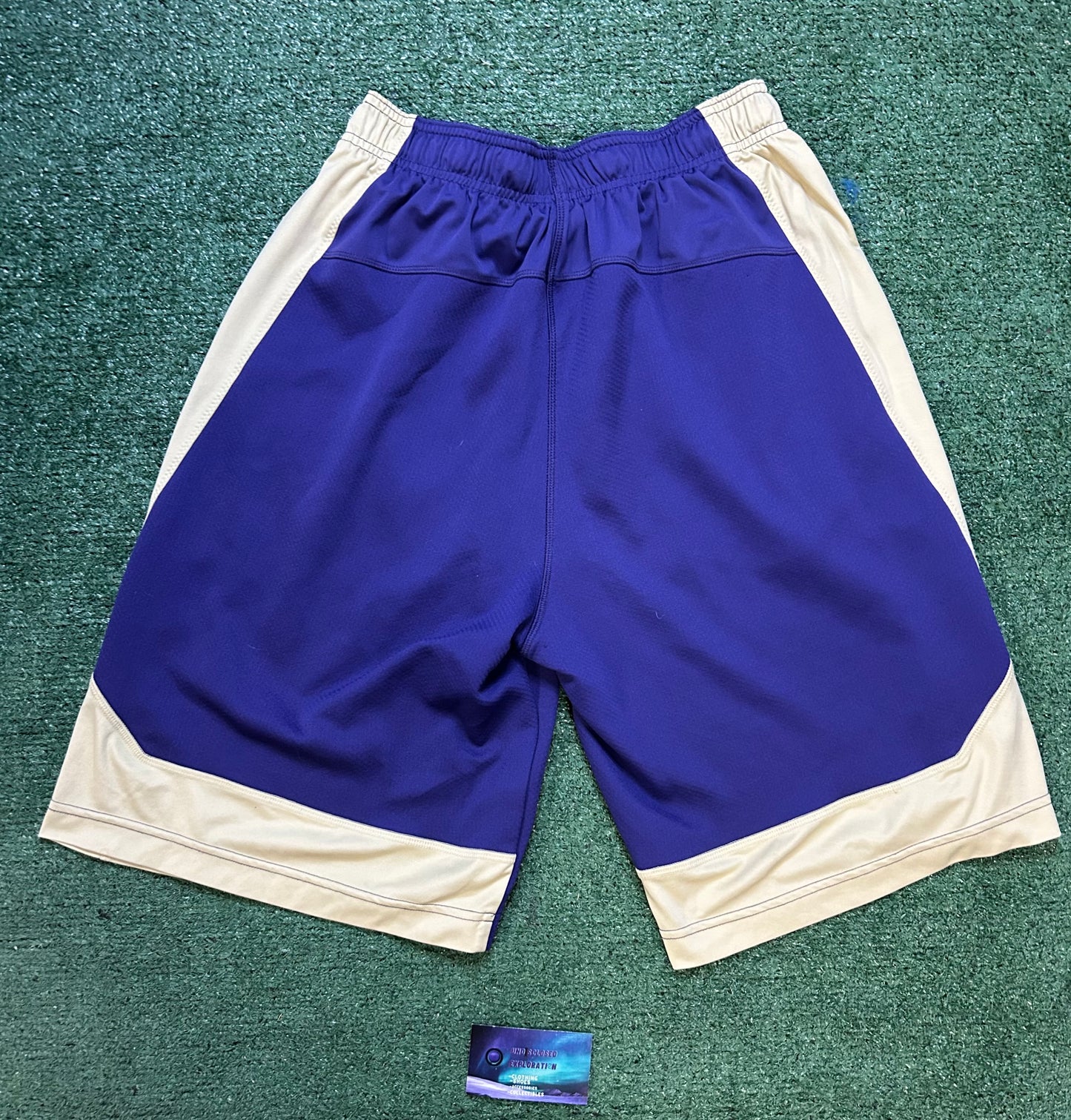 Nike UW University of Washington shorts