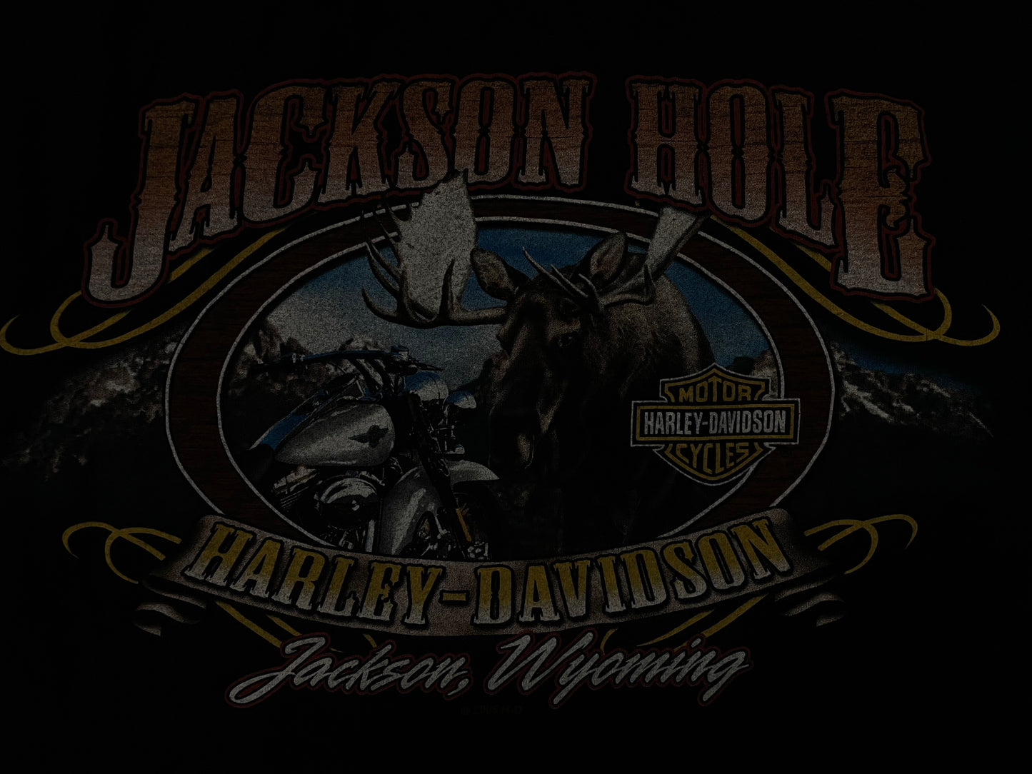 Vintage Harley Davidson Jackson hole Wyoming tee