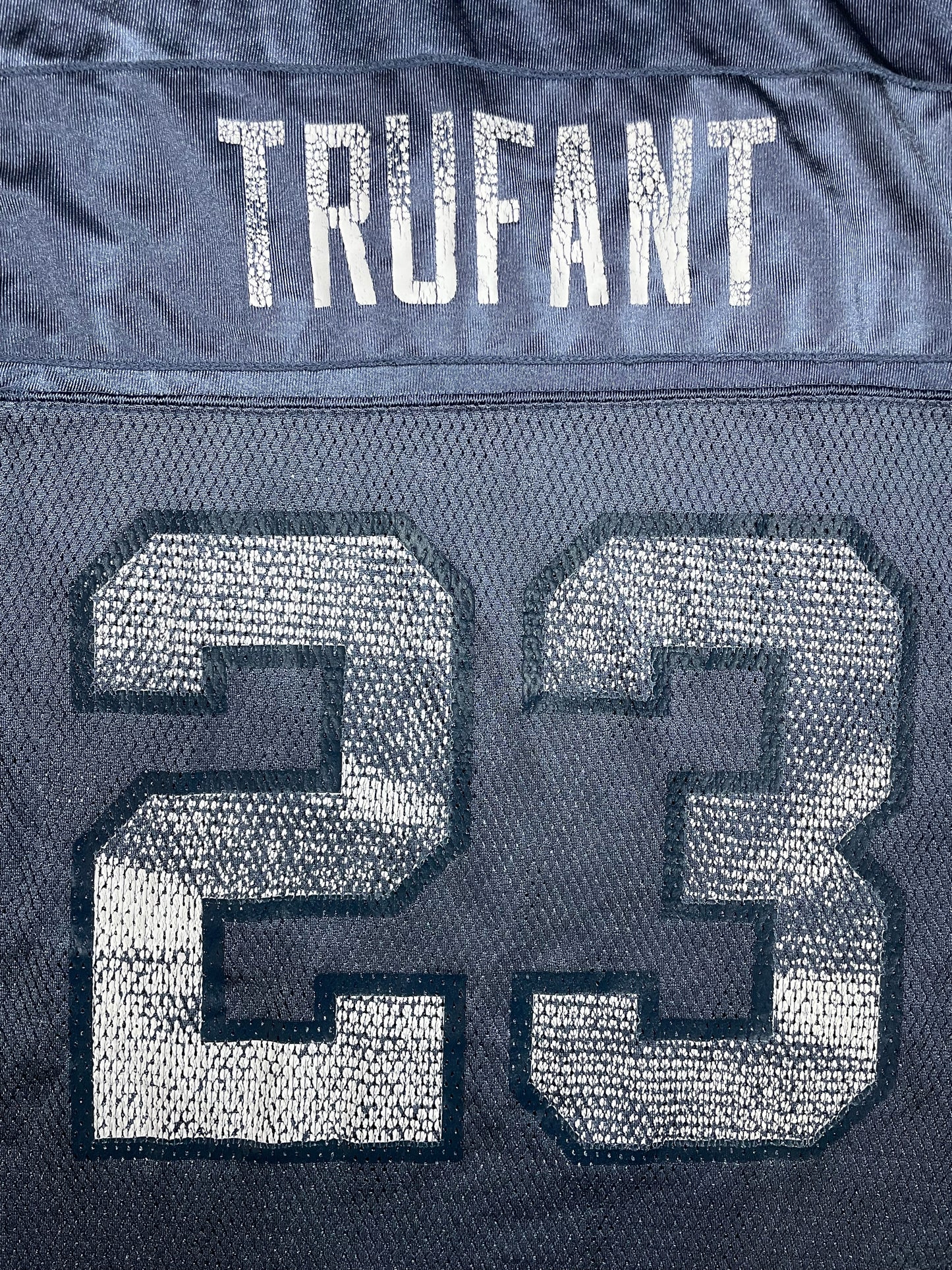 Vintage 2000s Seattle Seahawks Marcus Trufant #23 Jersey