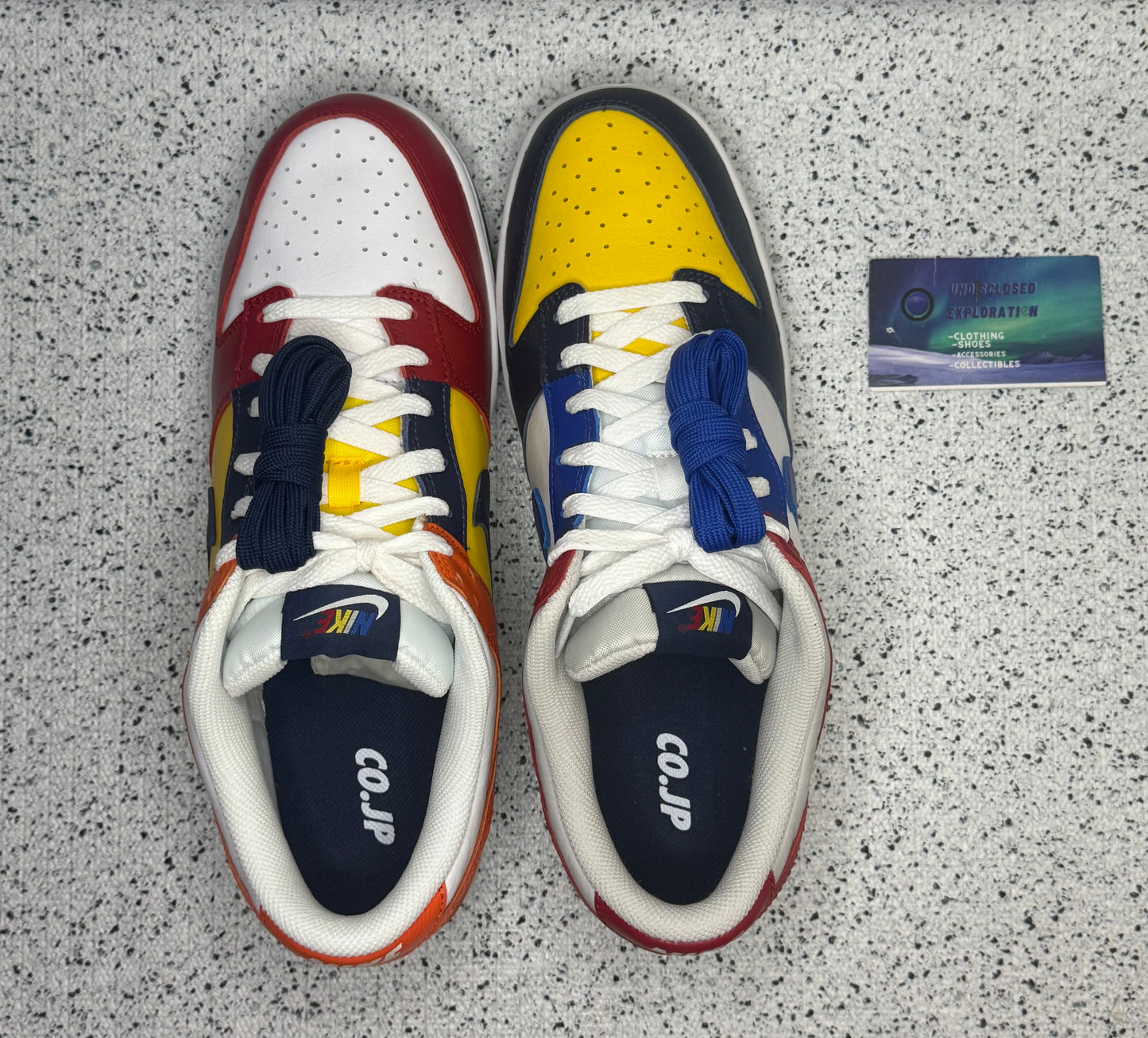 Nike Dunk Low What The