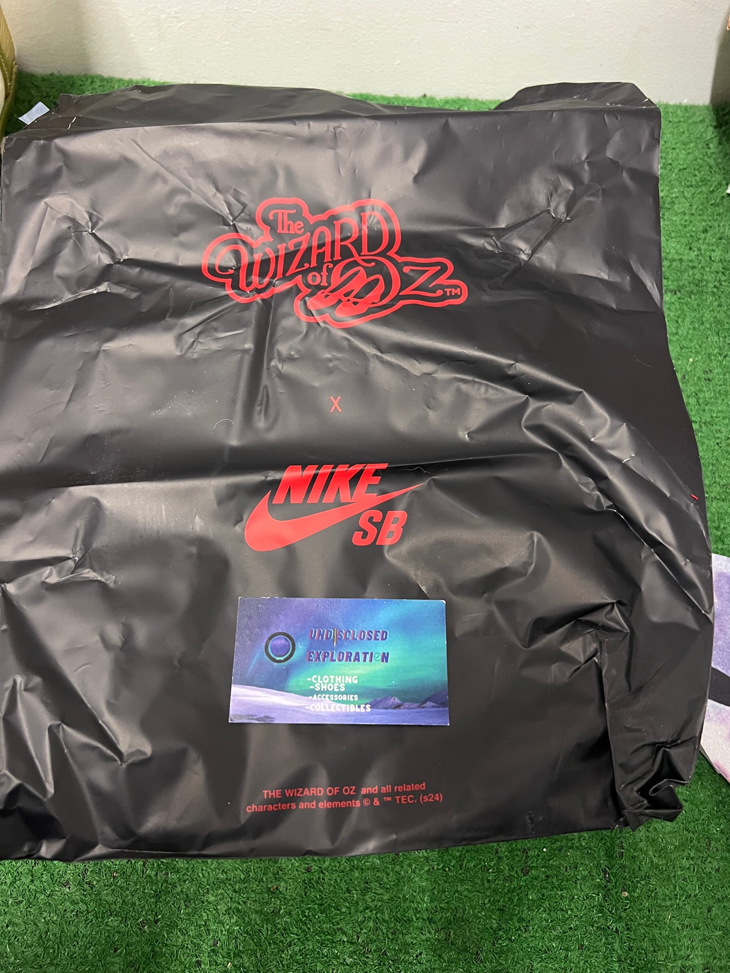 Nike sb dunk X wizard of oz