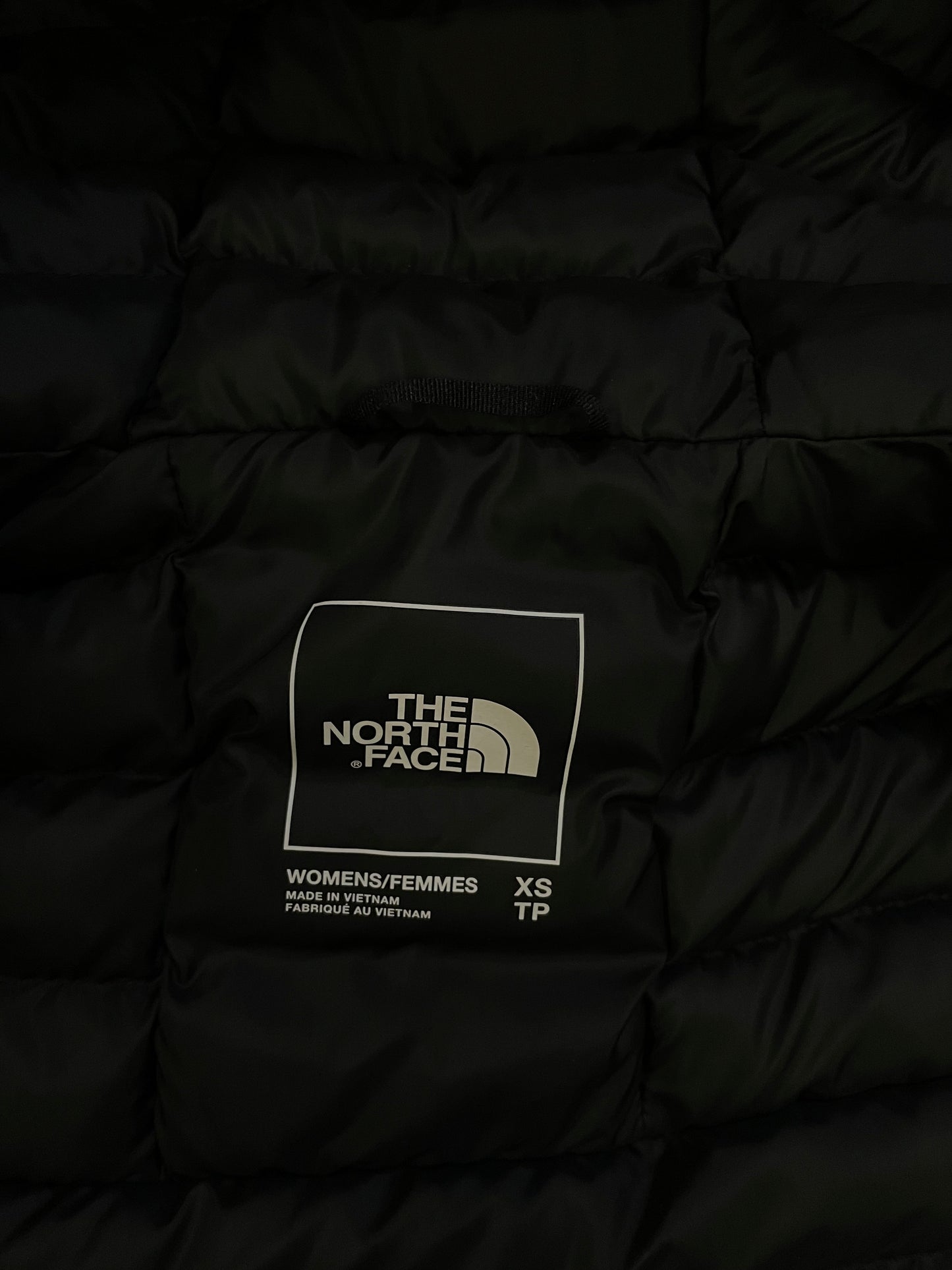 The North Face Terrapeak hooded jacket