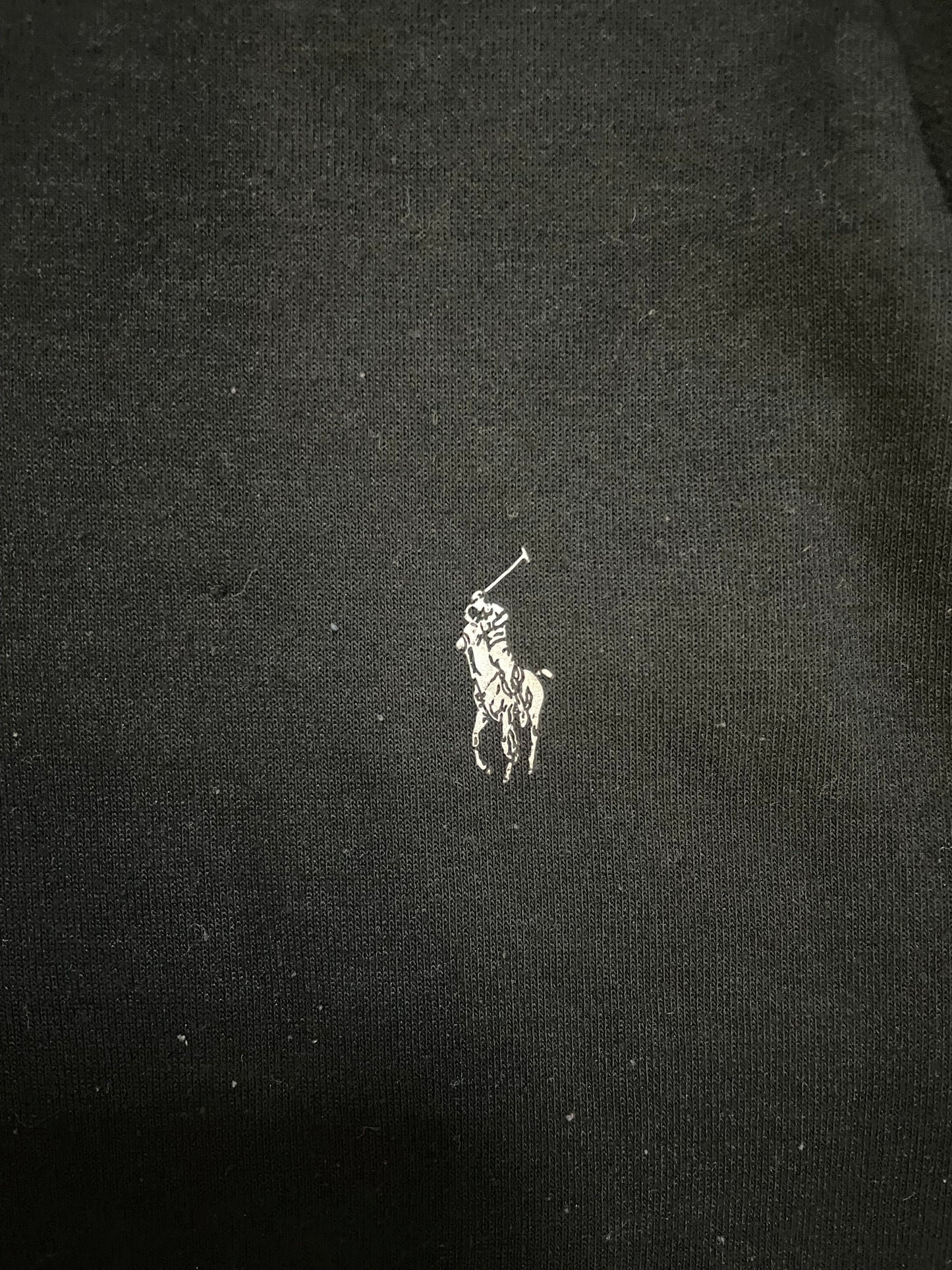 Polo Ralph Lauren graphic crewneck
