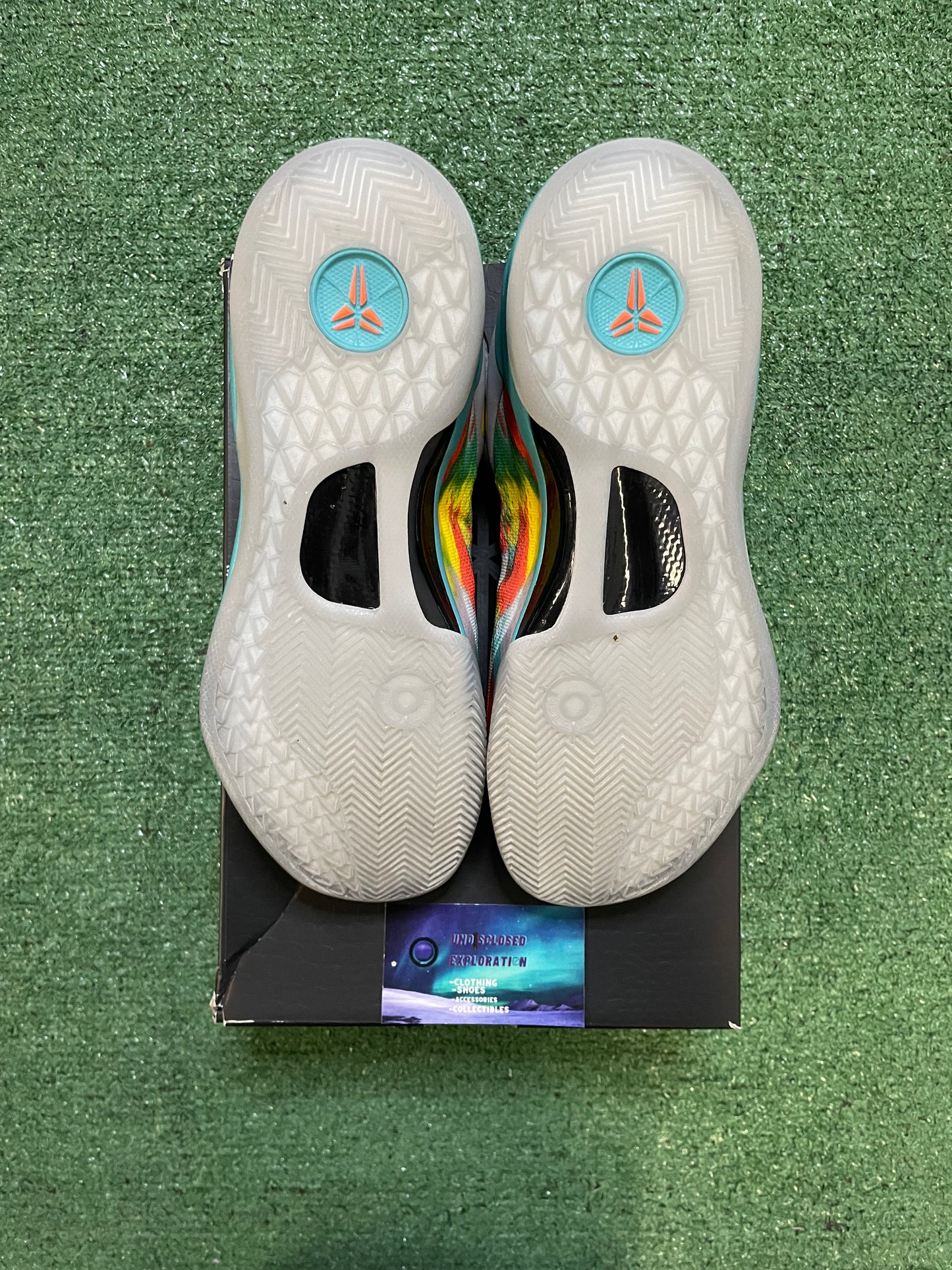 Kobe 8 Venice beach 2024