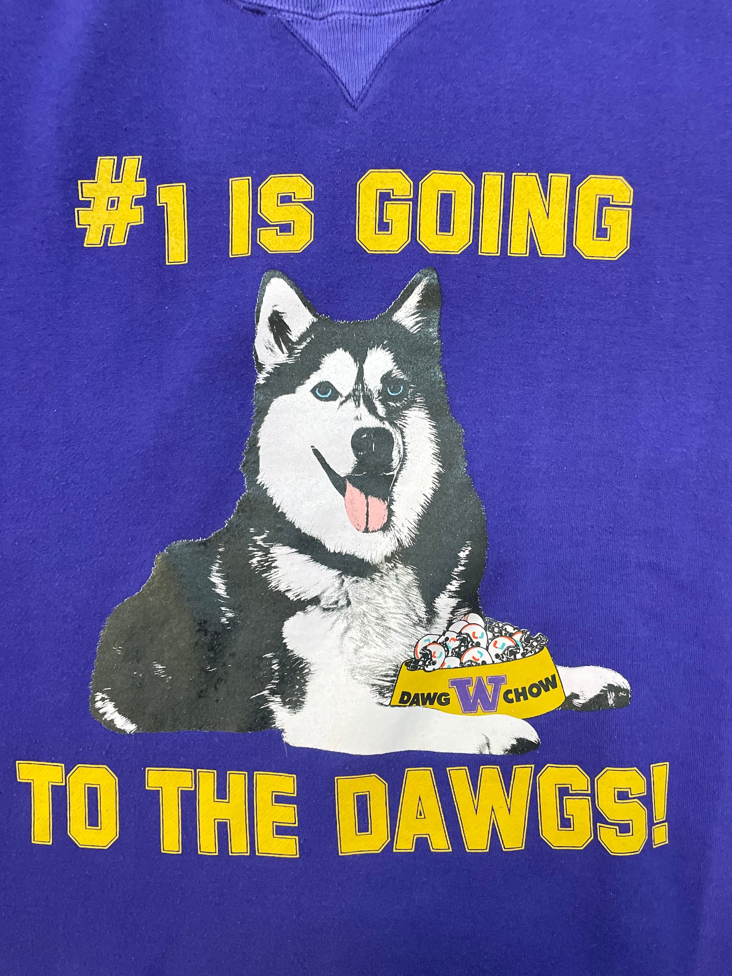 Vintage 1990s University of Washington UW Huskies #1 is going to the dawgs huskies crewneck