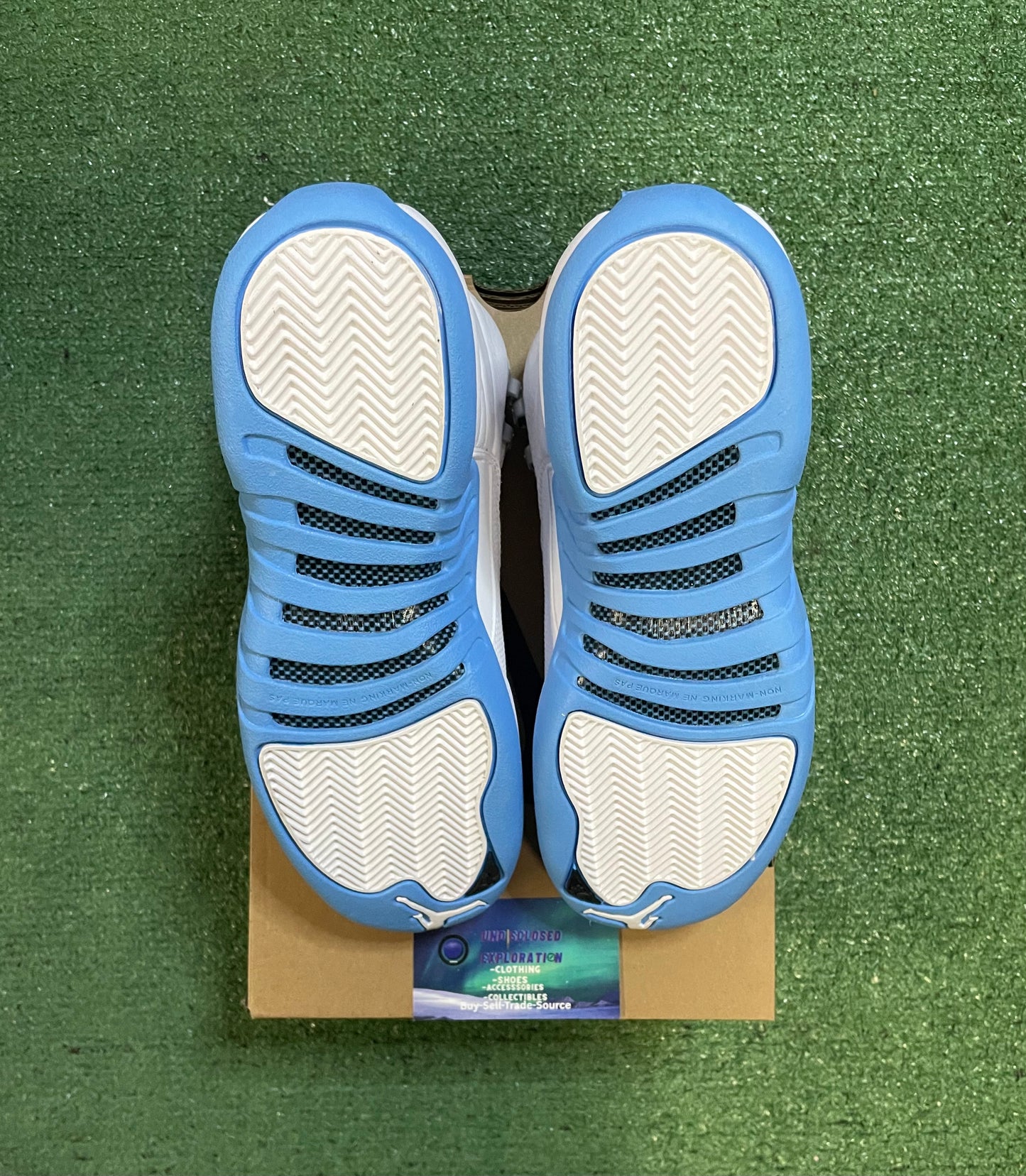 Air Jordan 12 melo