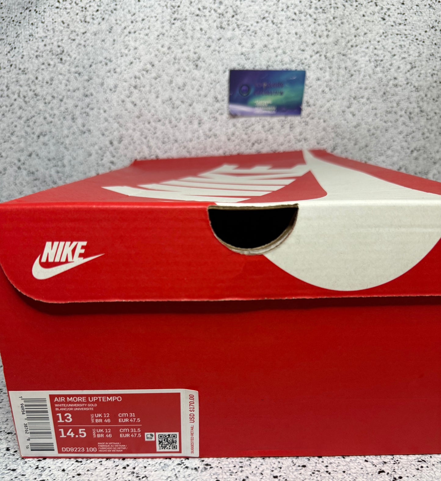 Nike Air Uptempo Rayguns