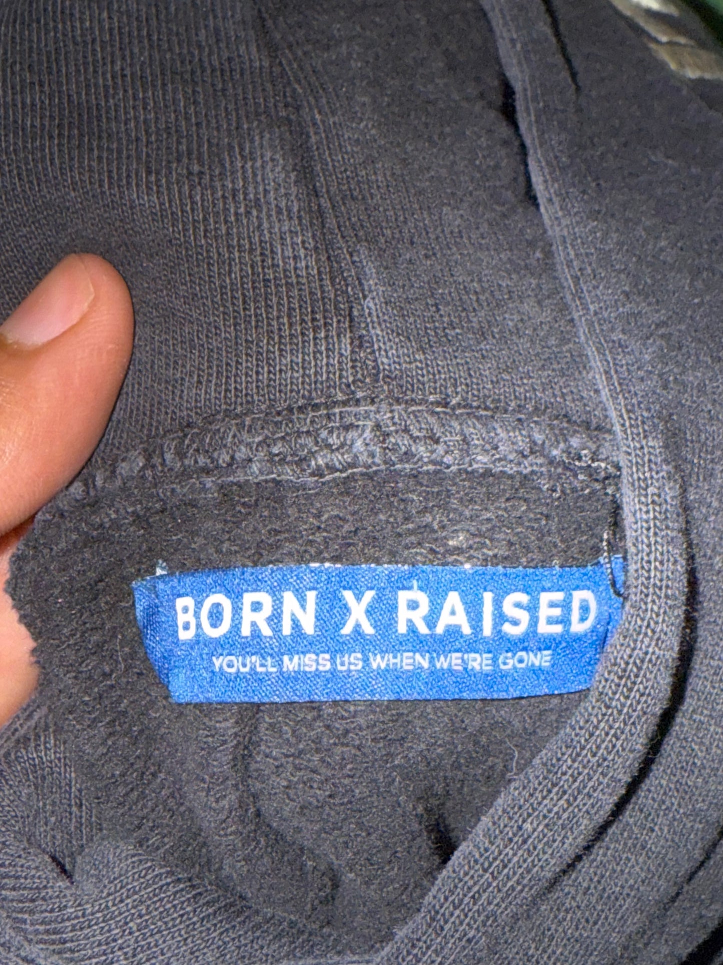 Born X Raised Embroidered Hoodie