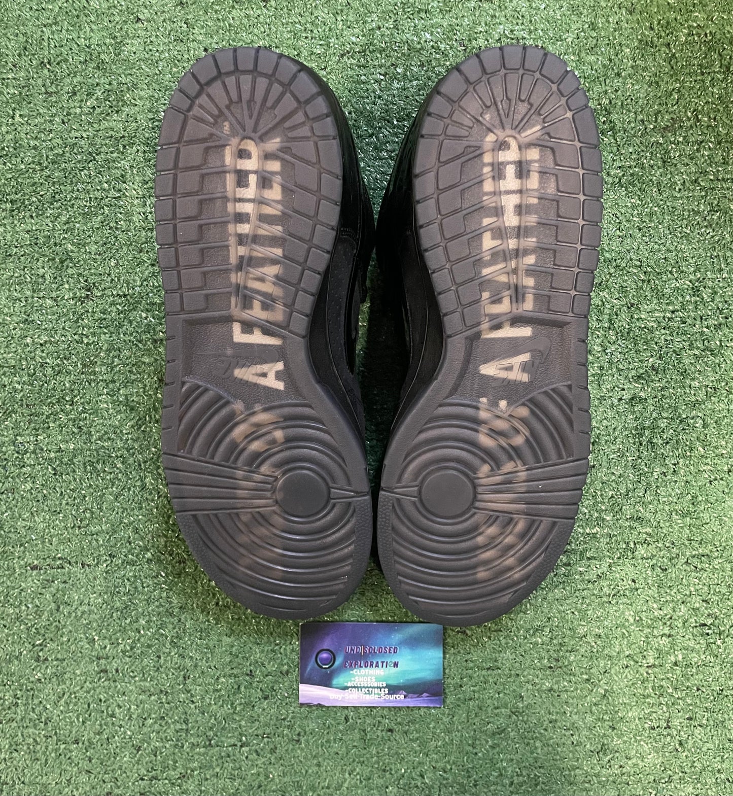 Nike Dunk low ducks of a feather black university of Oregon PE