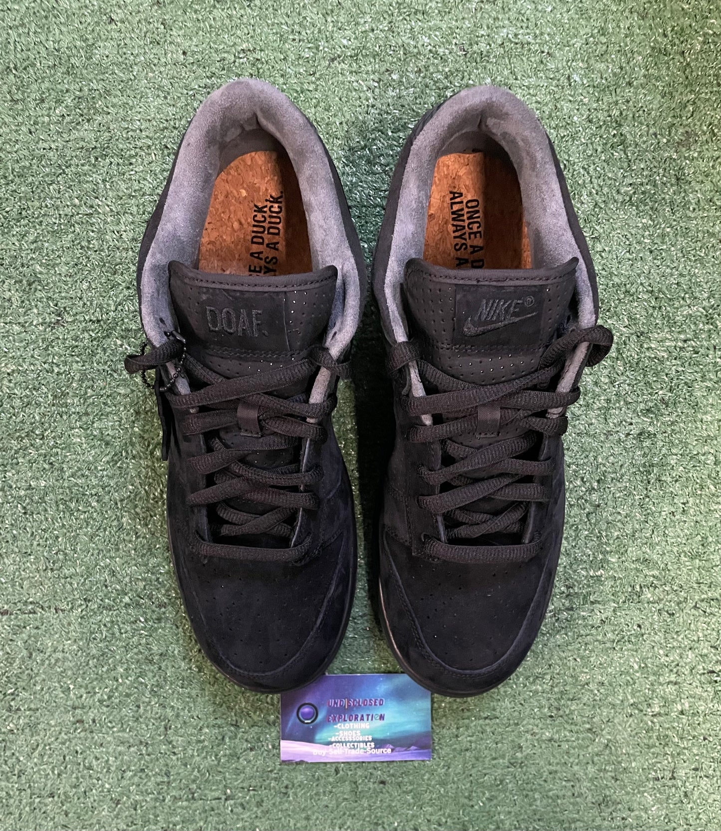 Nike Dunk low ducks of a feather black university of Oregon PE