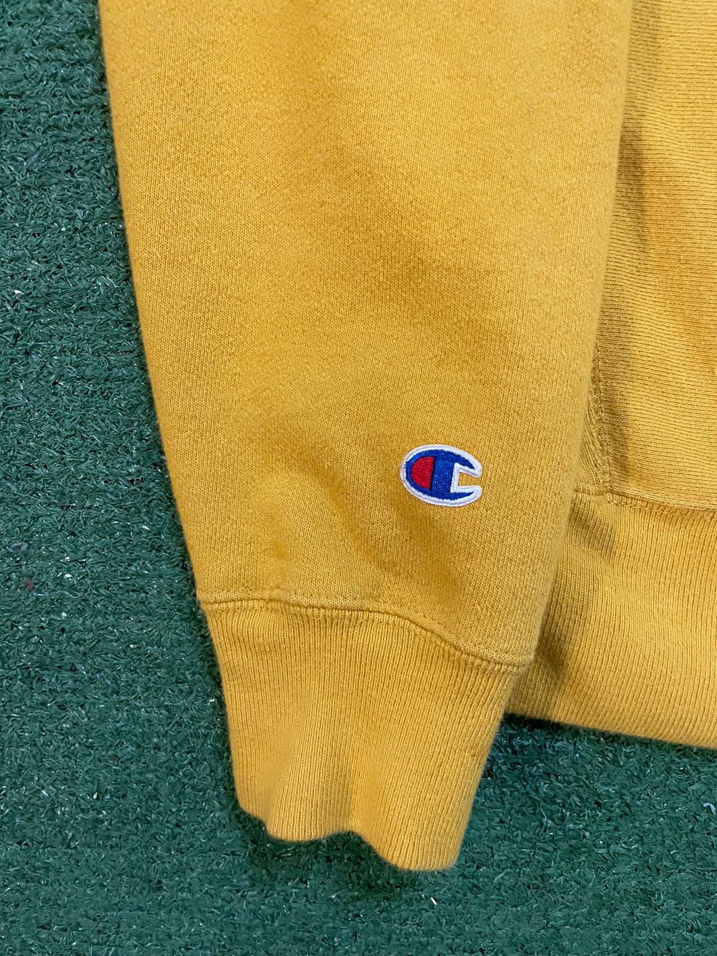 Champion Triple script reverse weave hoodie
