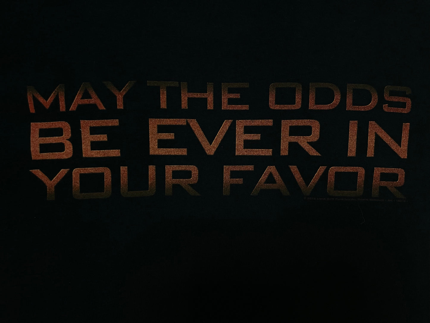 Vintage The Hunger Games movie promo tee