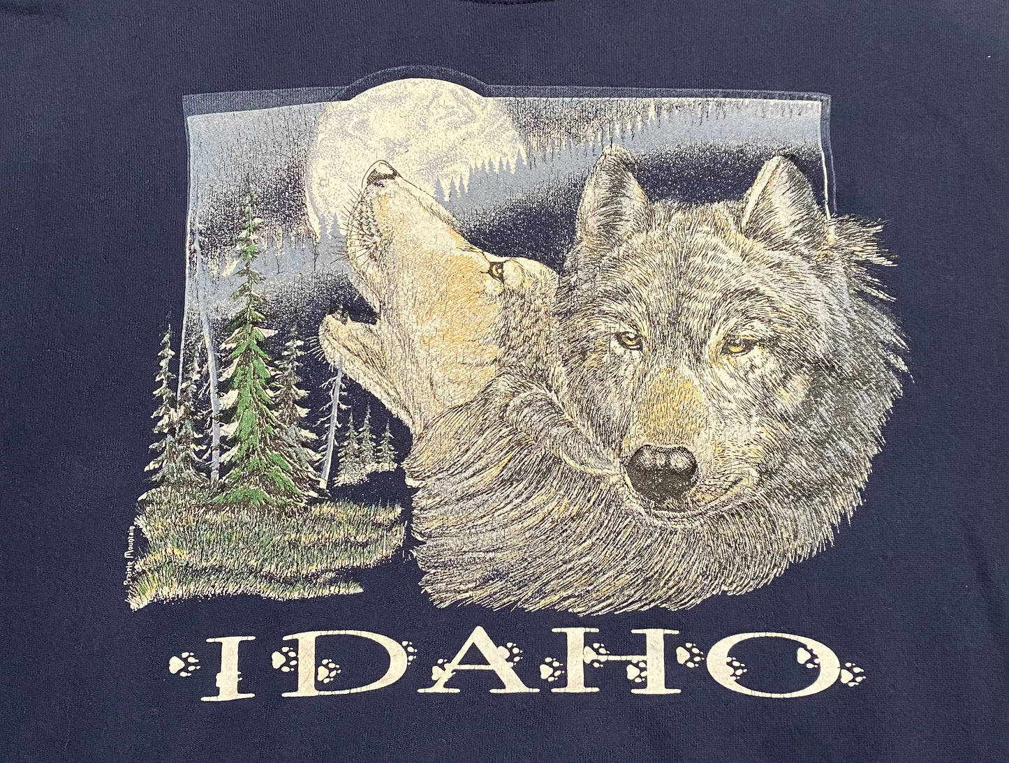Vintage Idaho wolves crewneck