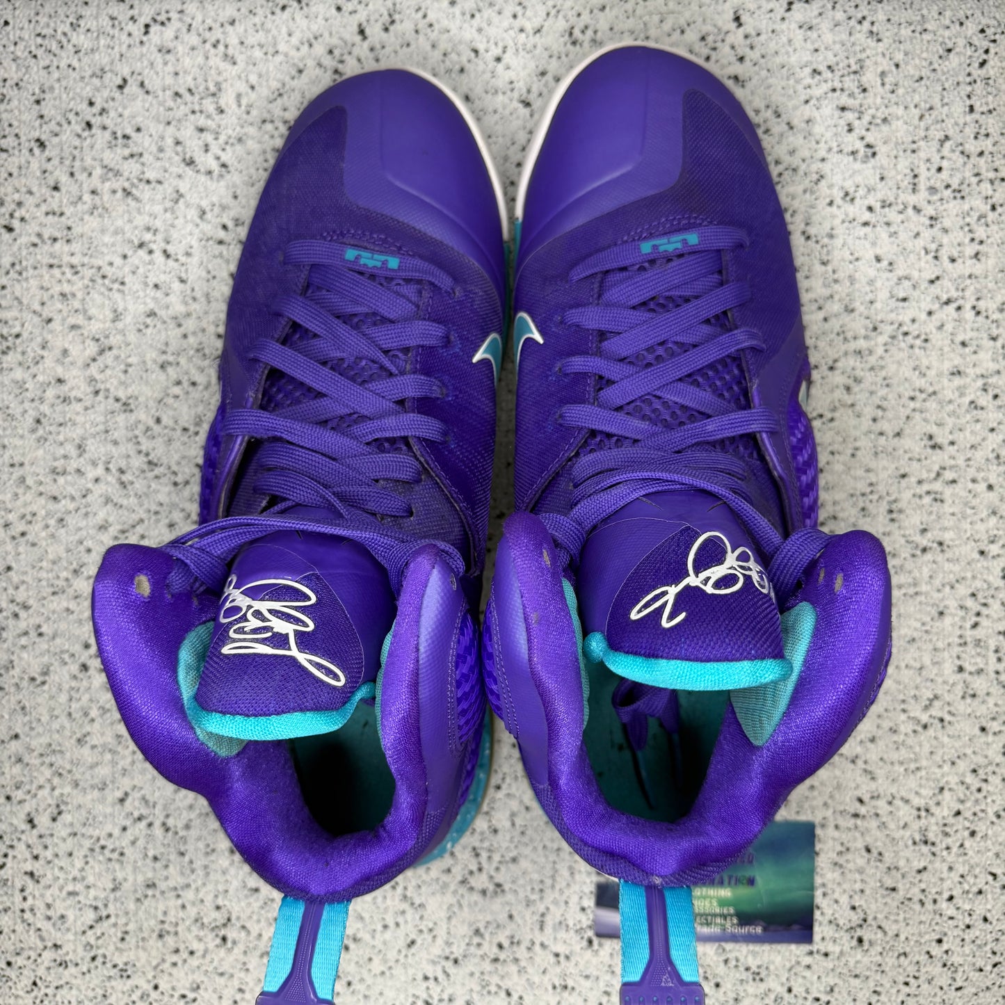 Nike LeBron 9 Summit Lake Hornets 10 Men “Preowned”