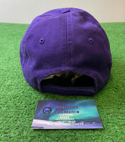 Vintage 1990s UW university of Washington huskies embroidered hat