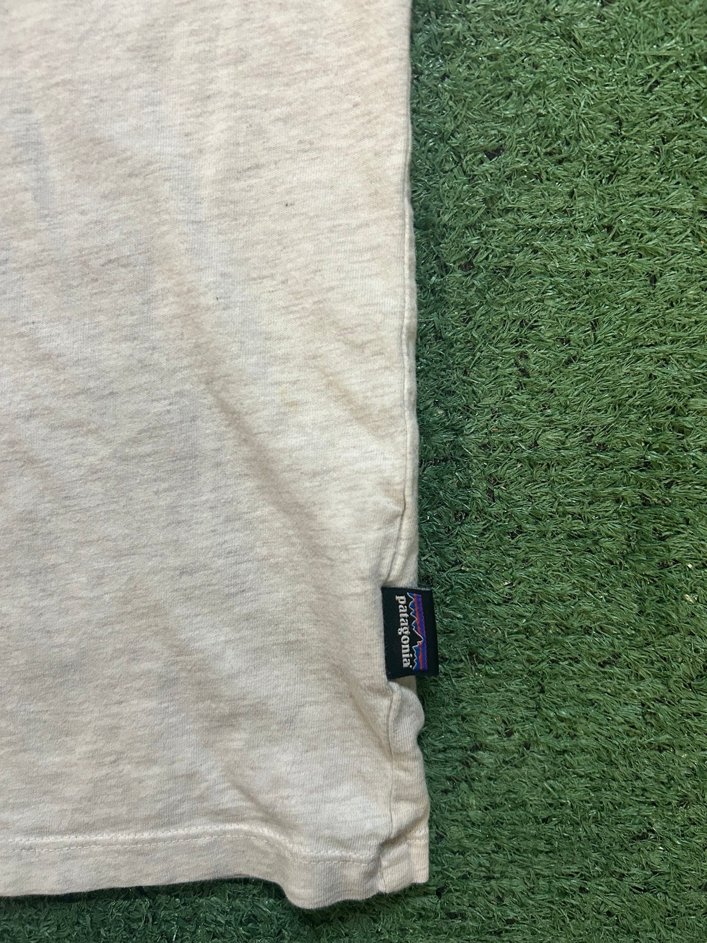 Patagonia light gray tee
