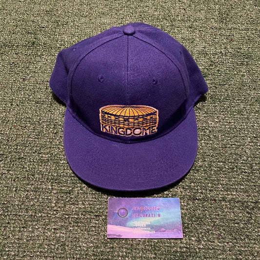 Vintage Kingdome arena alaska airlines Snapback