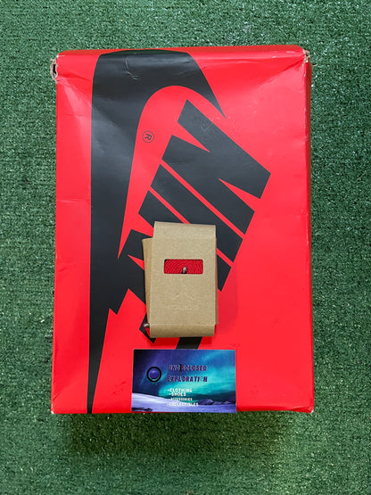 Jordan 1 high satin bred