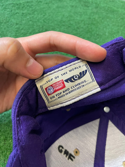 Vintage 2000s UW university of Washington embroidered hat