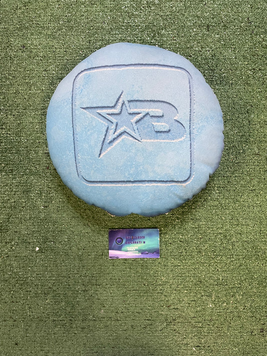 Burning bush blue pillow