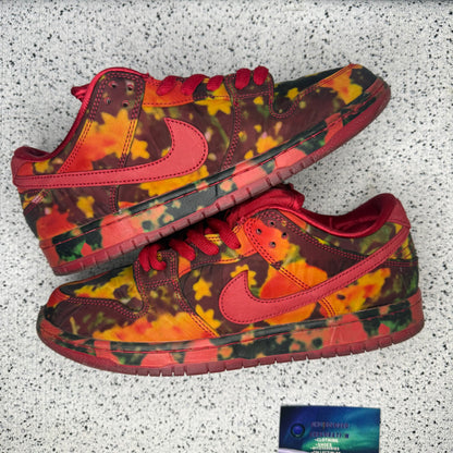 Nike Dunk SB Low Wizard of Oz 10 Men “Preowned”