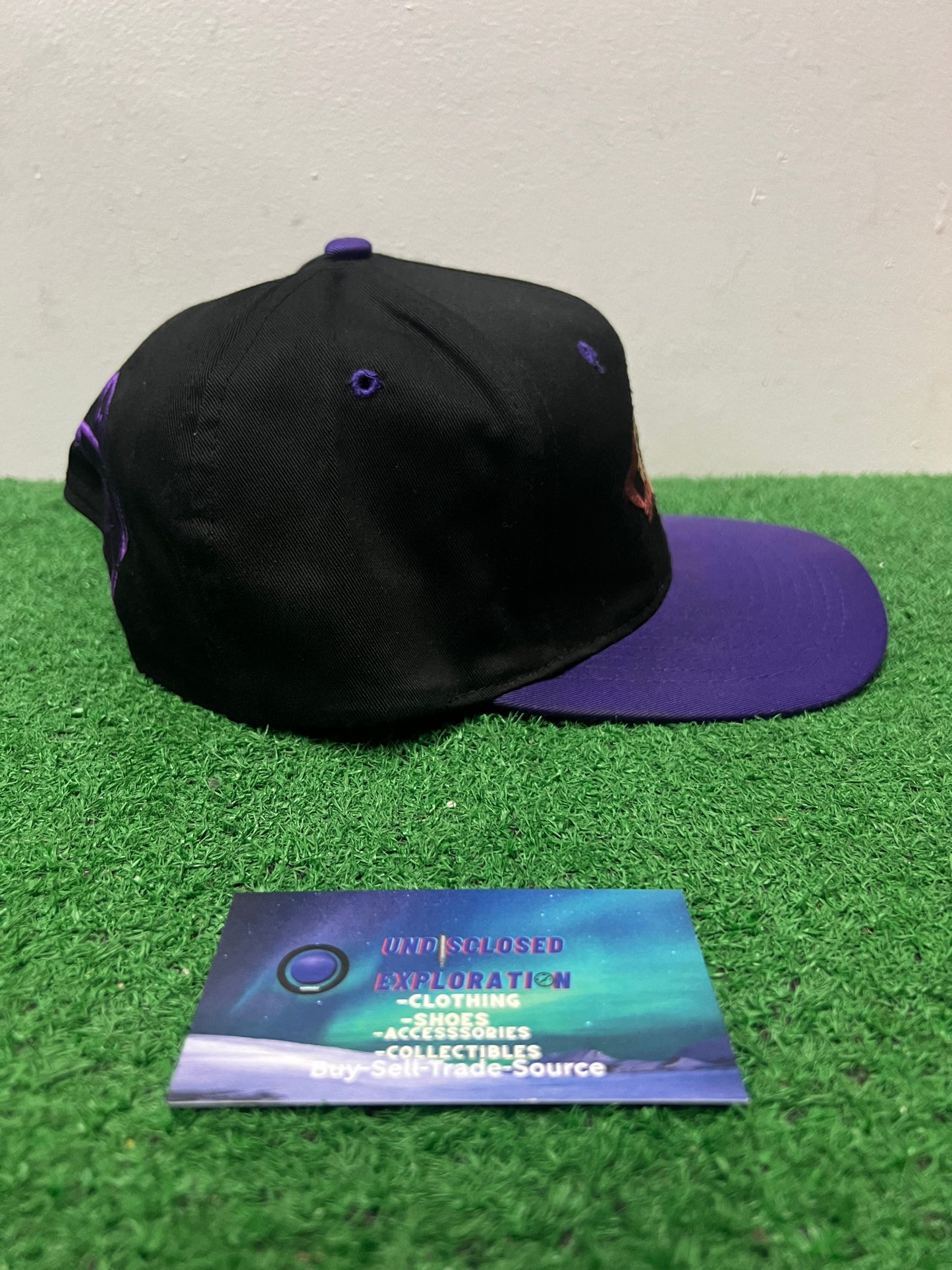 Vintage 1990s TAZ looney tunes hat