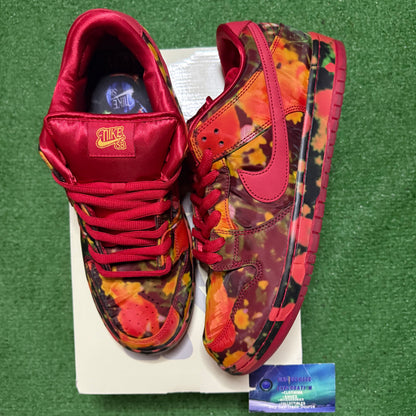 Nike Dunk Sb Low Wizard Of Oz