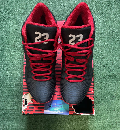 Air Jordan 29 gym red size 11men/12.5women