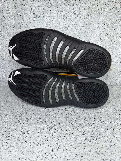 Jordan 12 Royalty