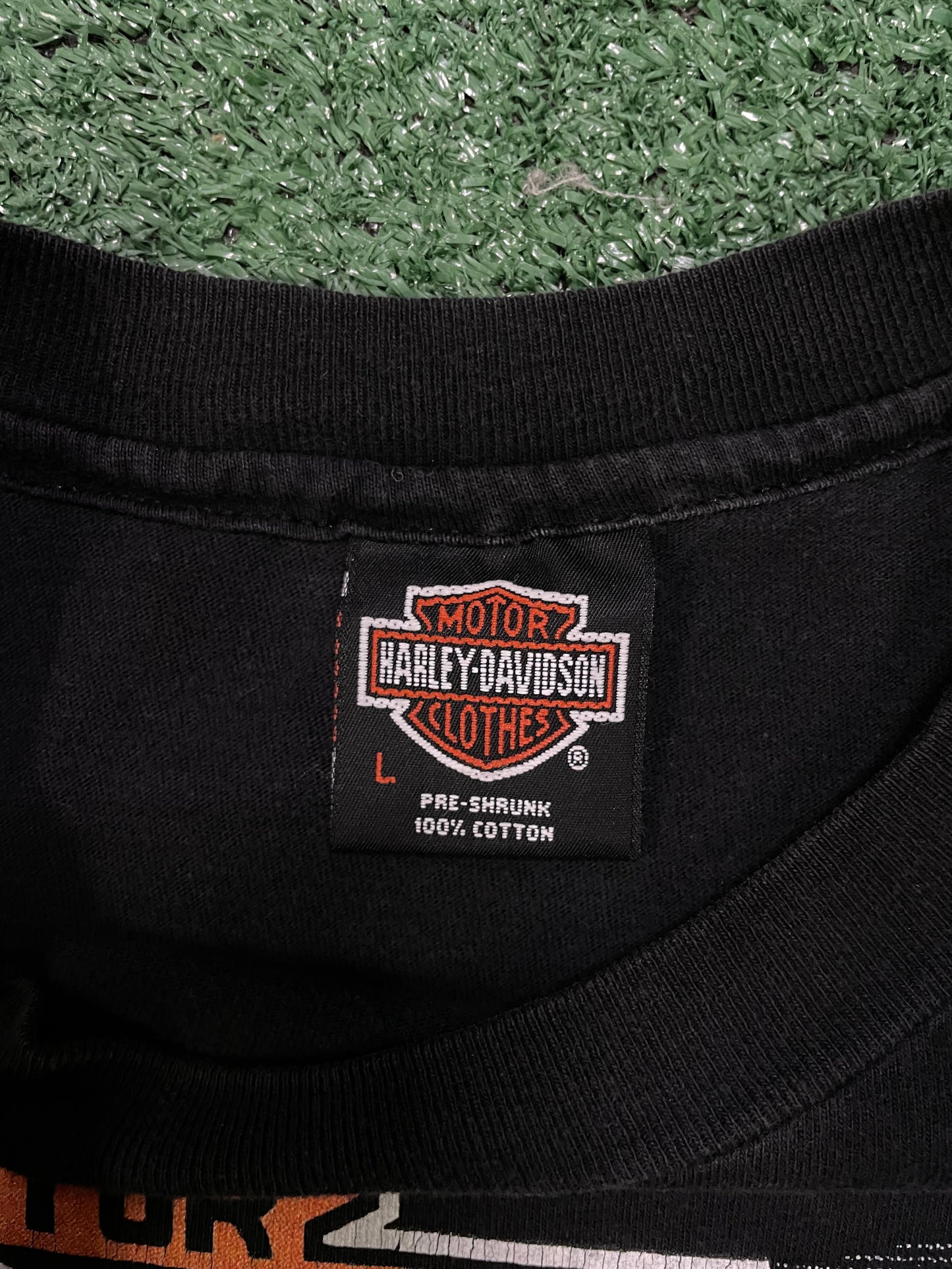 Vintage 1980s Harley Davidson thunder in the Rockies tee