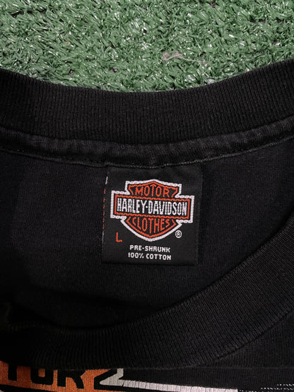 Vintage 1980s Harley Davidson thunder in the Rockies tee