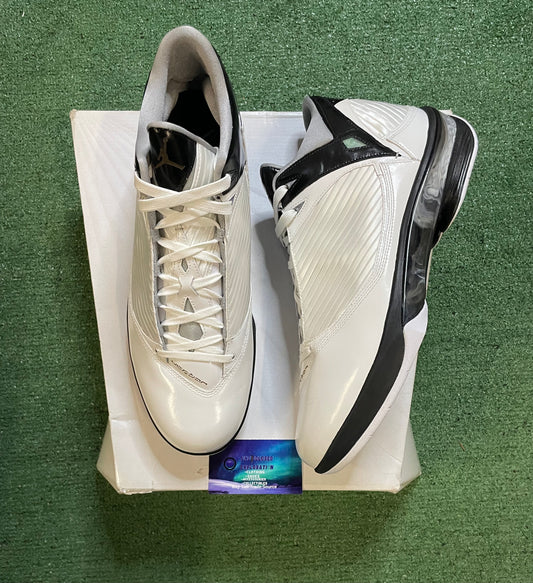 Nike Air Jordan 2009 white metallic silver