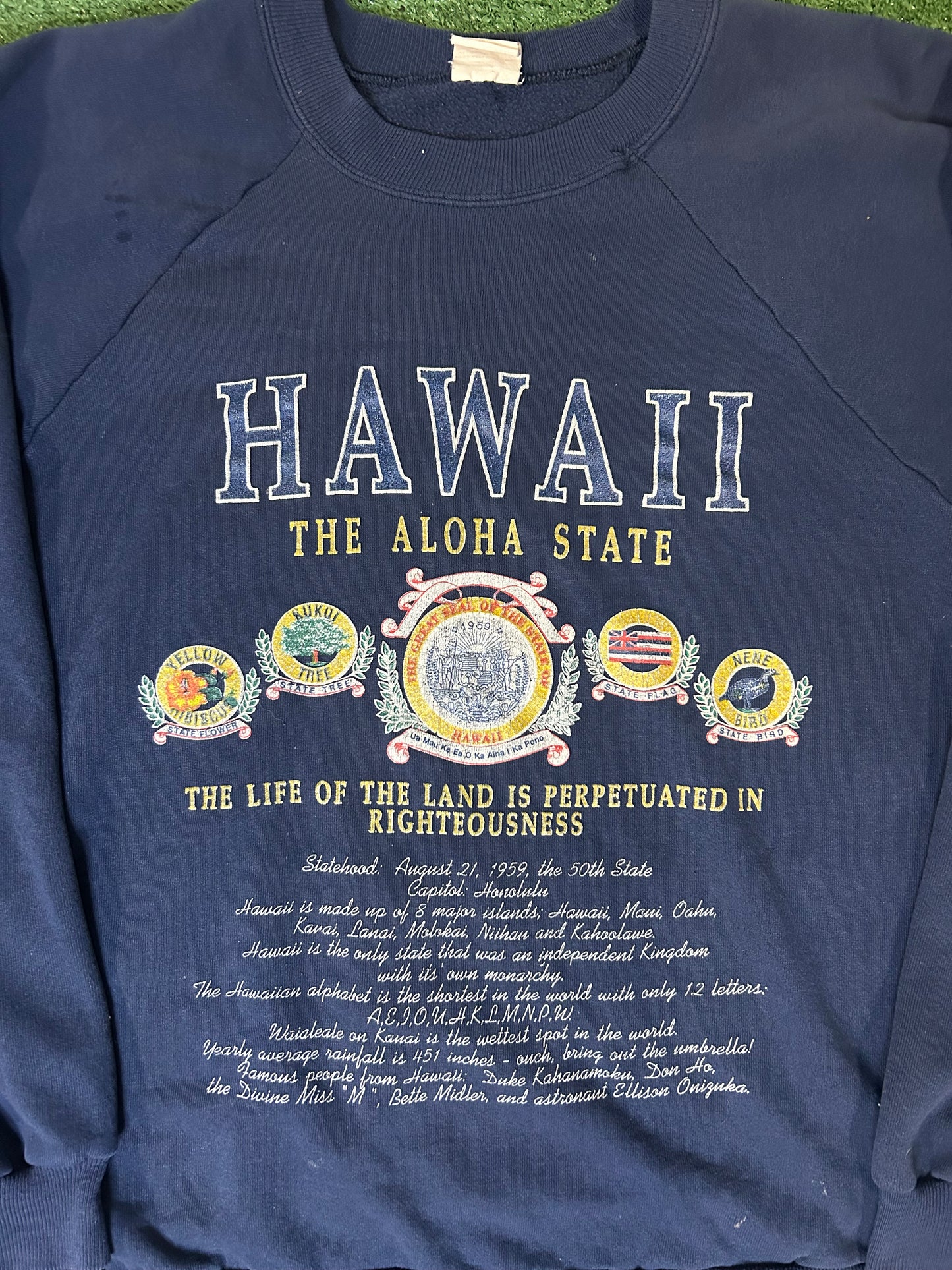 Vintage 1990s Hawaii the aloha state Crewneck