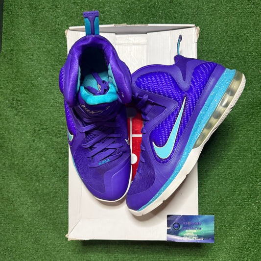 Nike LeBron 9 Summit Lake Hornets 10 Men “Preowned”