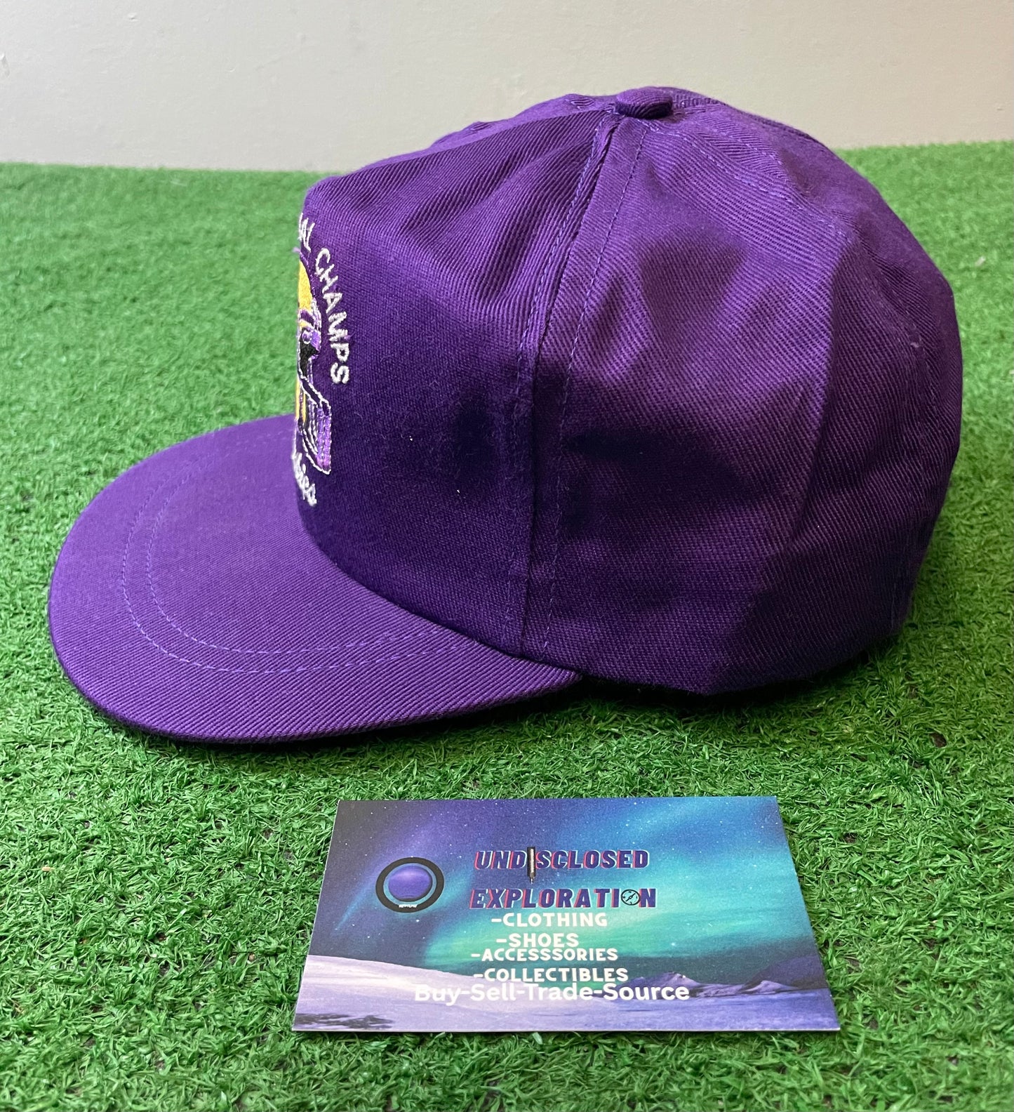 Vintage 1991 National Champs UW University of Washington embroidered hat
