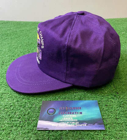 Vintage 1991 National Champs UW University of Washington embroidered hat